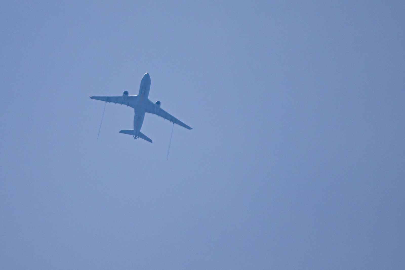 02062020-0L1A1830.jpg