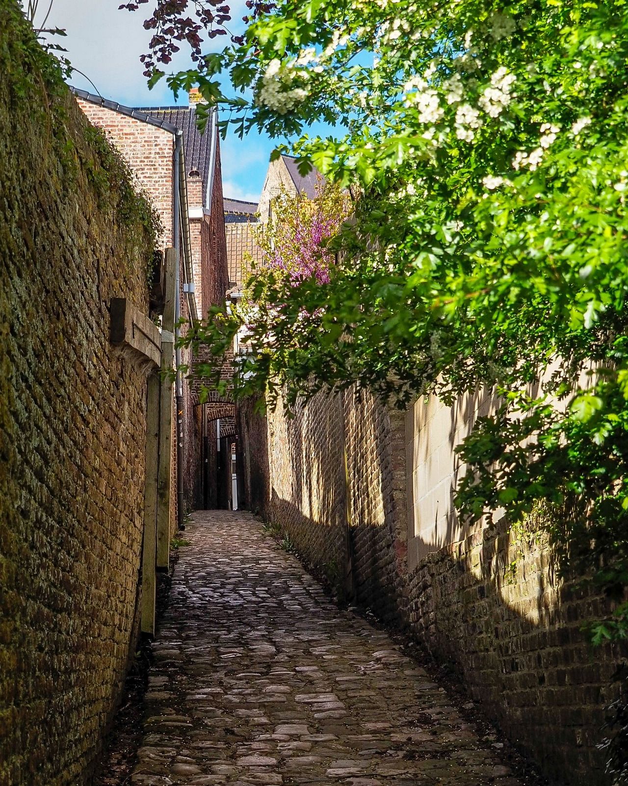 ruelle1600.jpg