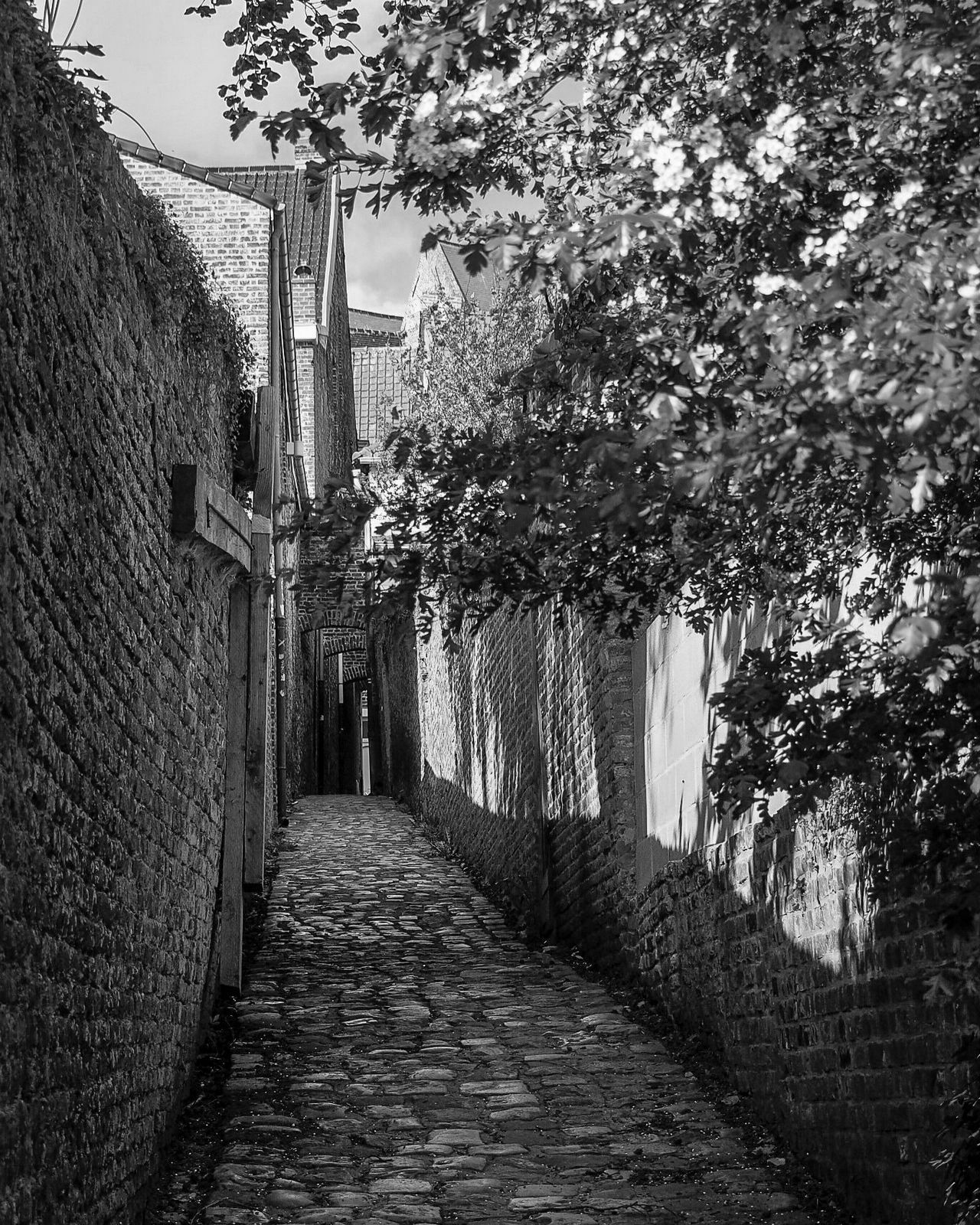 ruelle1600N&B.jpg