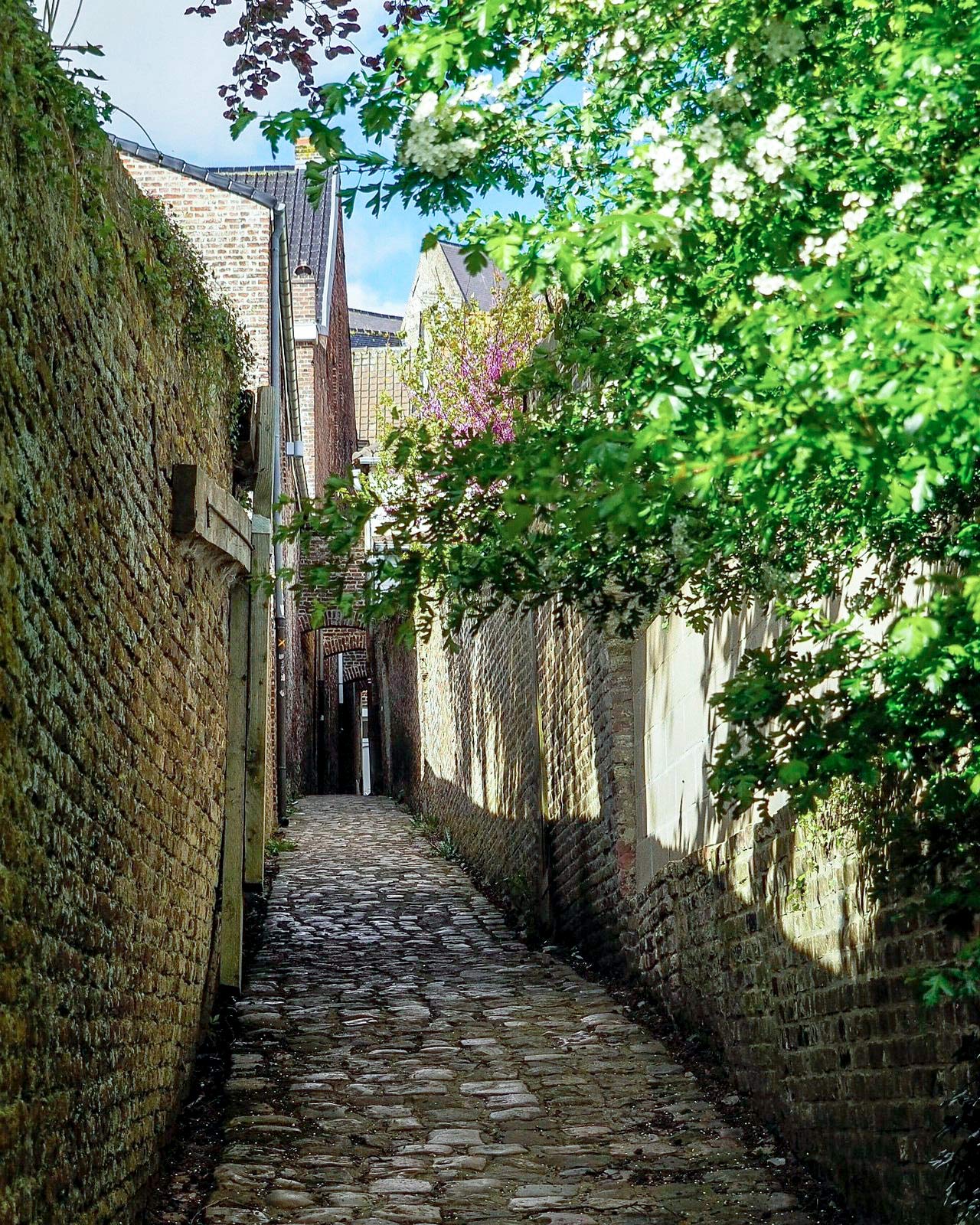 ruelle1600_bg_web.jpg