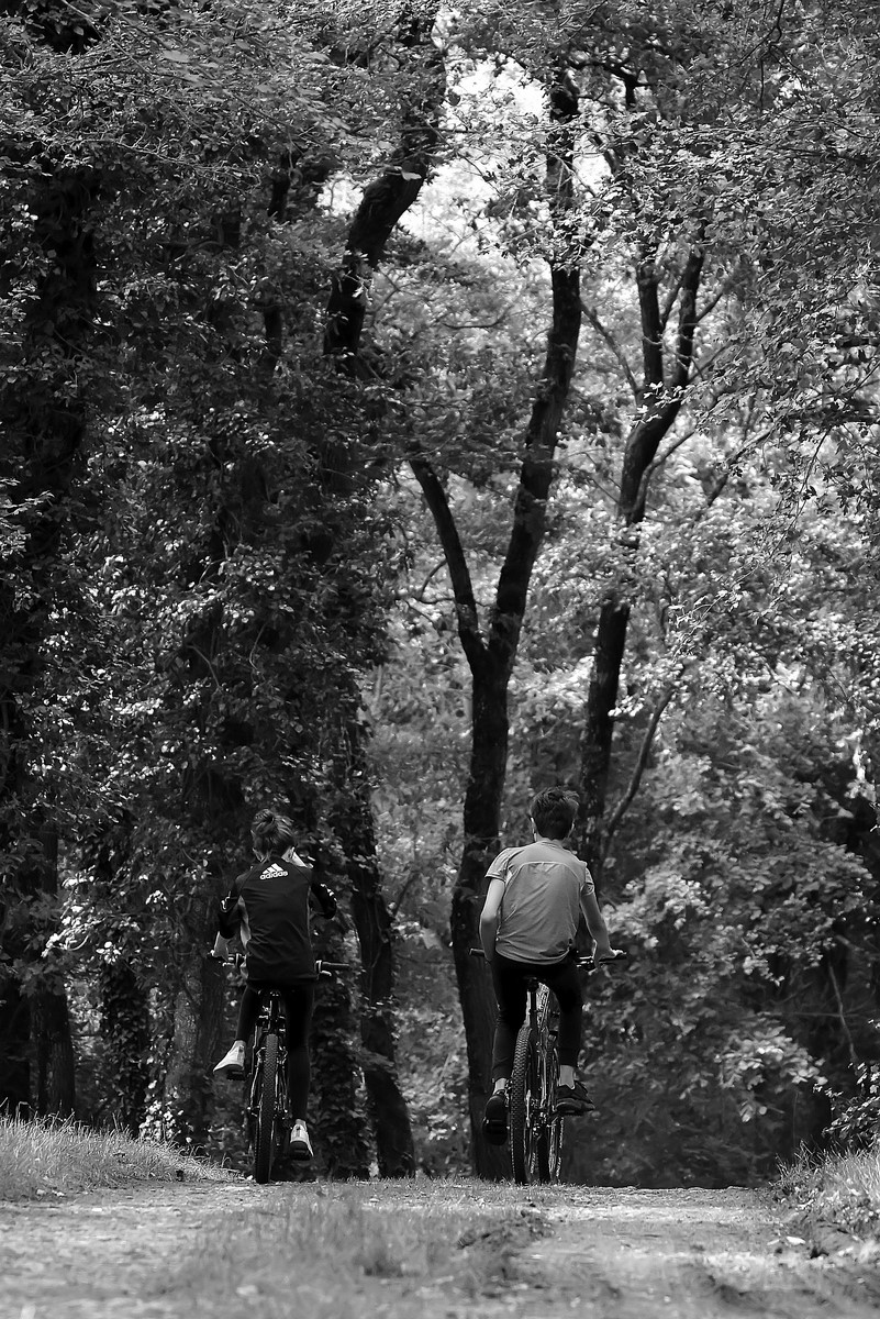 DSC_0106-001_filtered (Copier).jpg