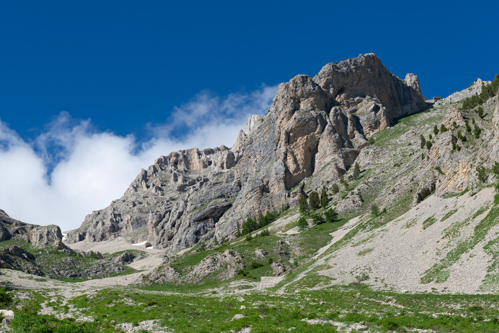 _DSC8728.jpg