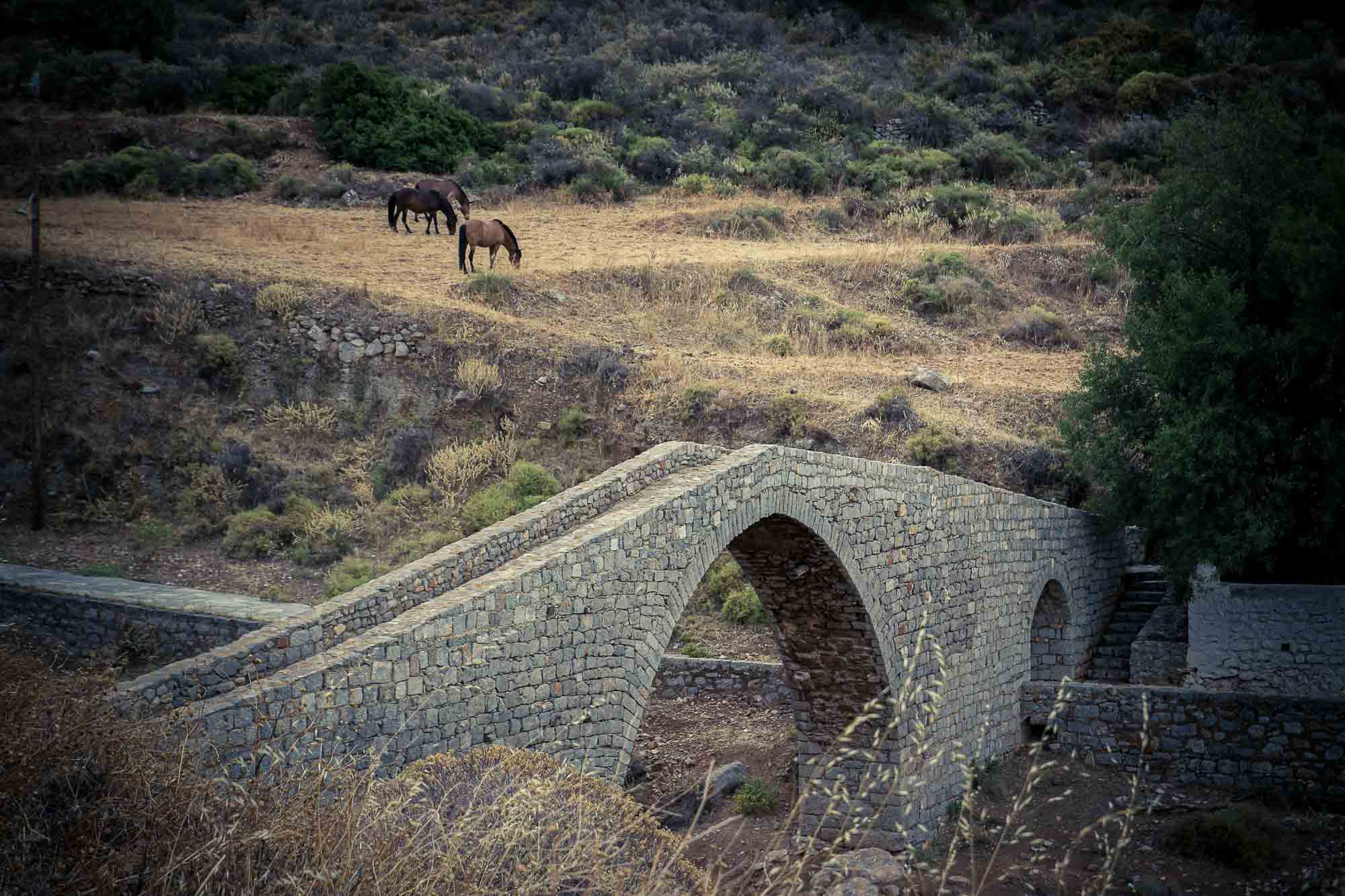 Hydra-pont chevaux.jpg