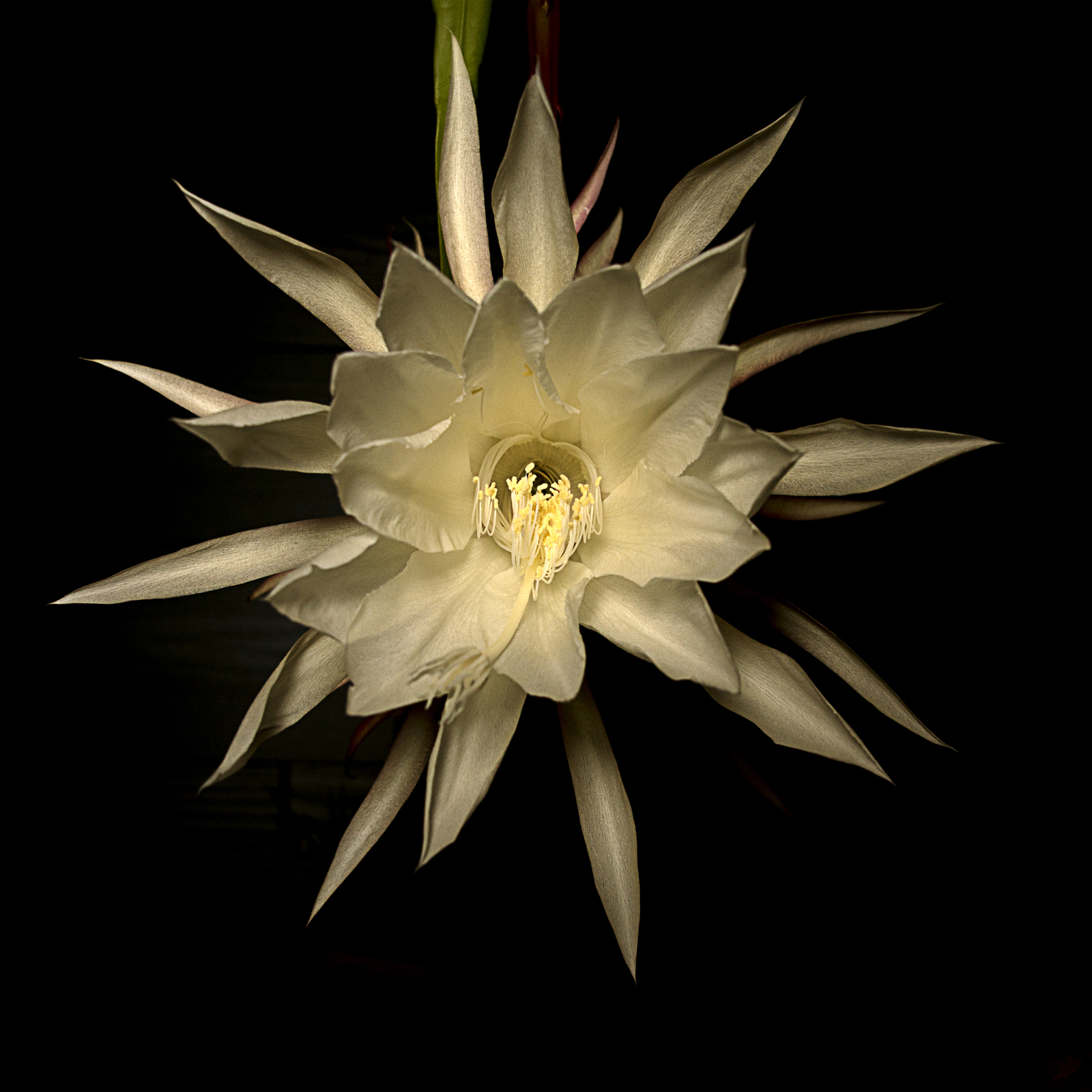 DSC03807 01ouioui.jpg