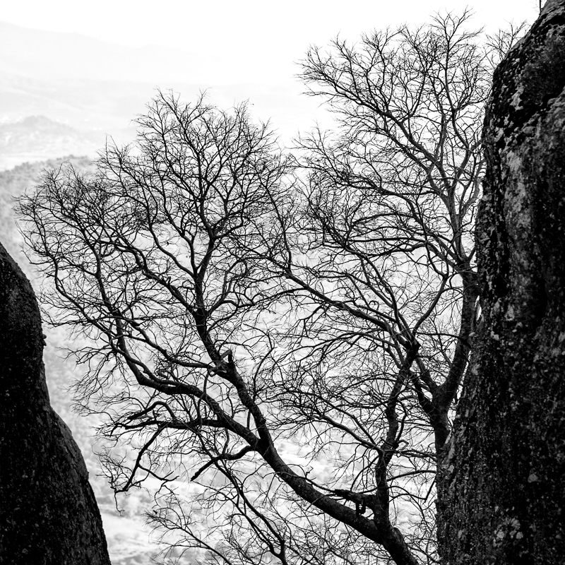 DSC_5128 carré.jpg