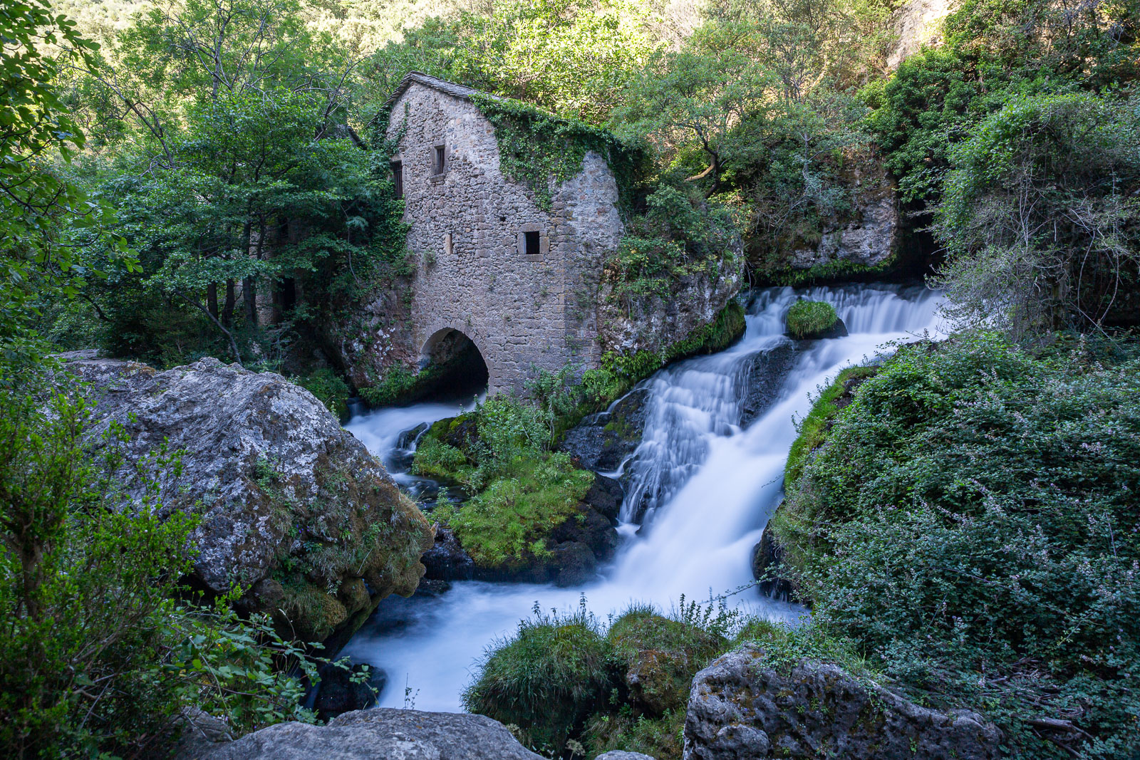 5D3_4535.jpg