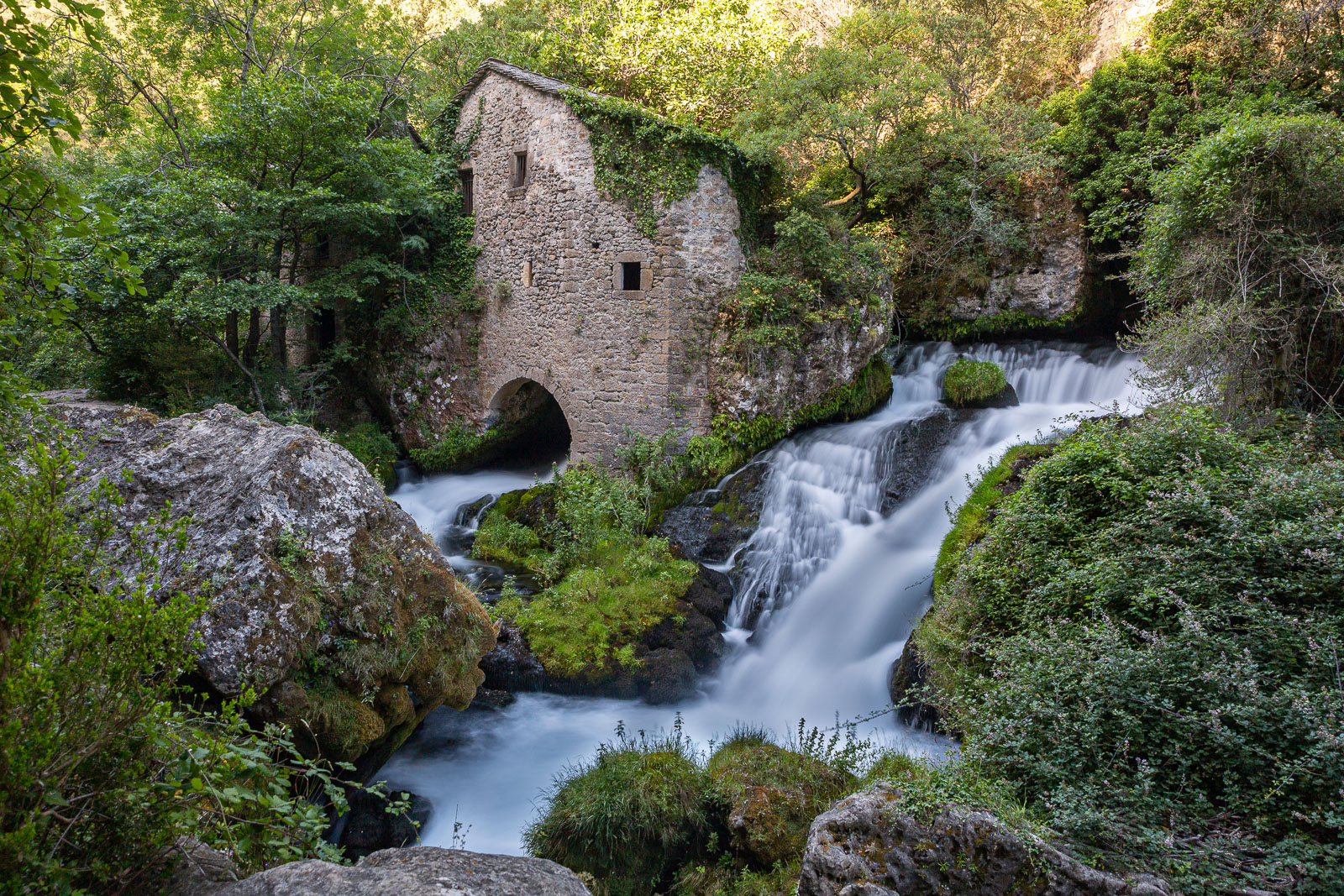 5D3_4535-3.jpg