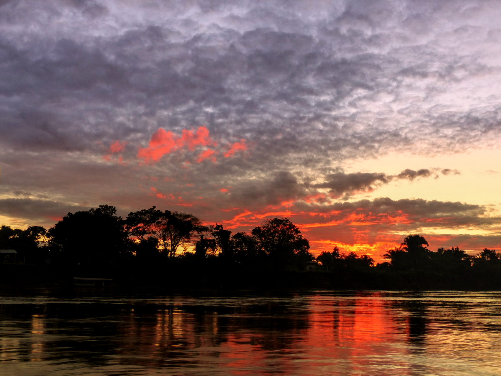 Photo DidierLille - Lever de Soleil Madre de Dios - 27 juillet 2020.jpg