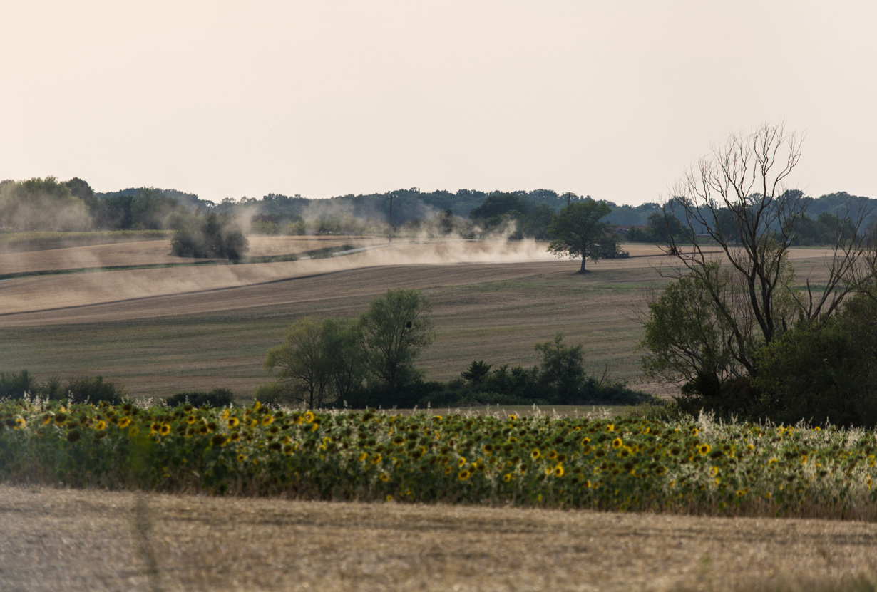 JM181172-3.JPG