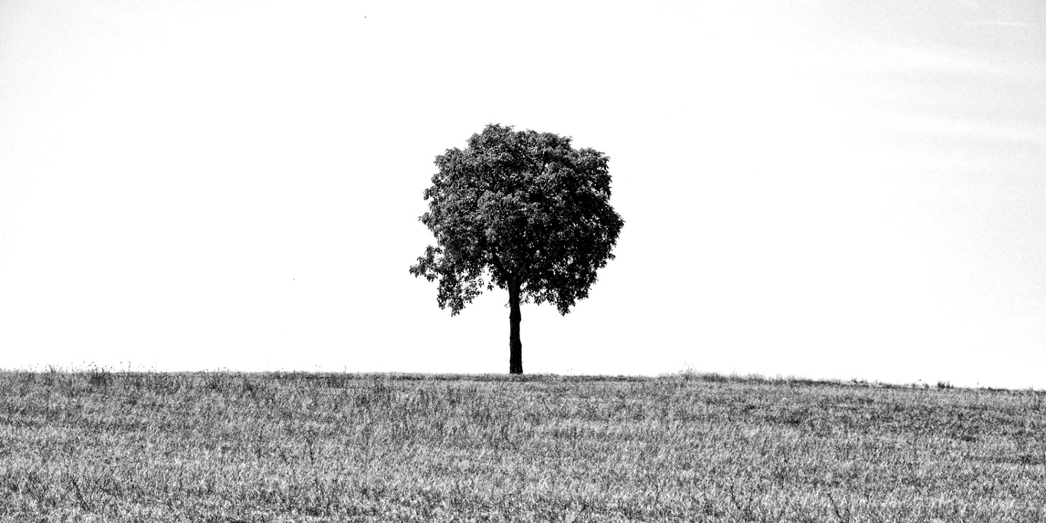 IMG_0913_DxO-copie-01(1).jpg