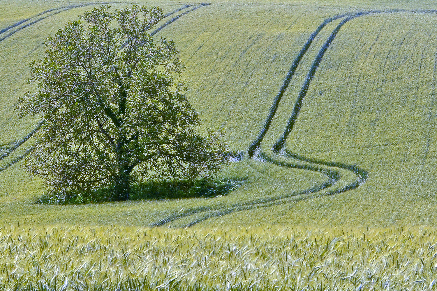 DSC_0839.jpg
