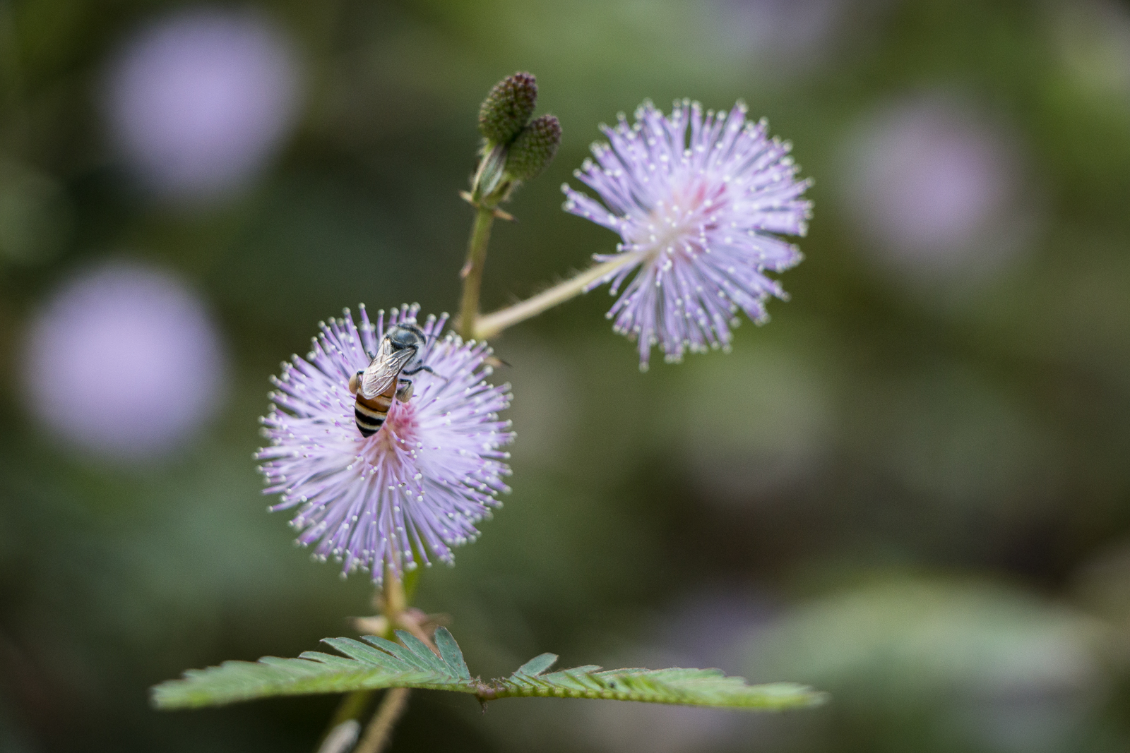 20151124-2744.jpg
