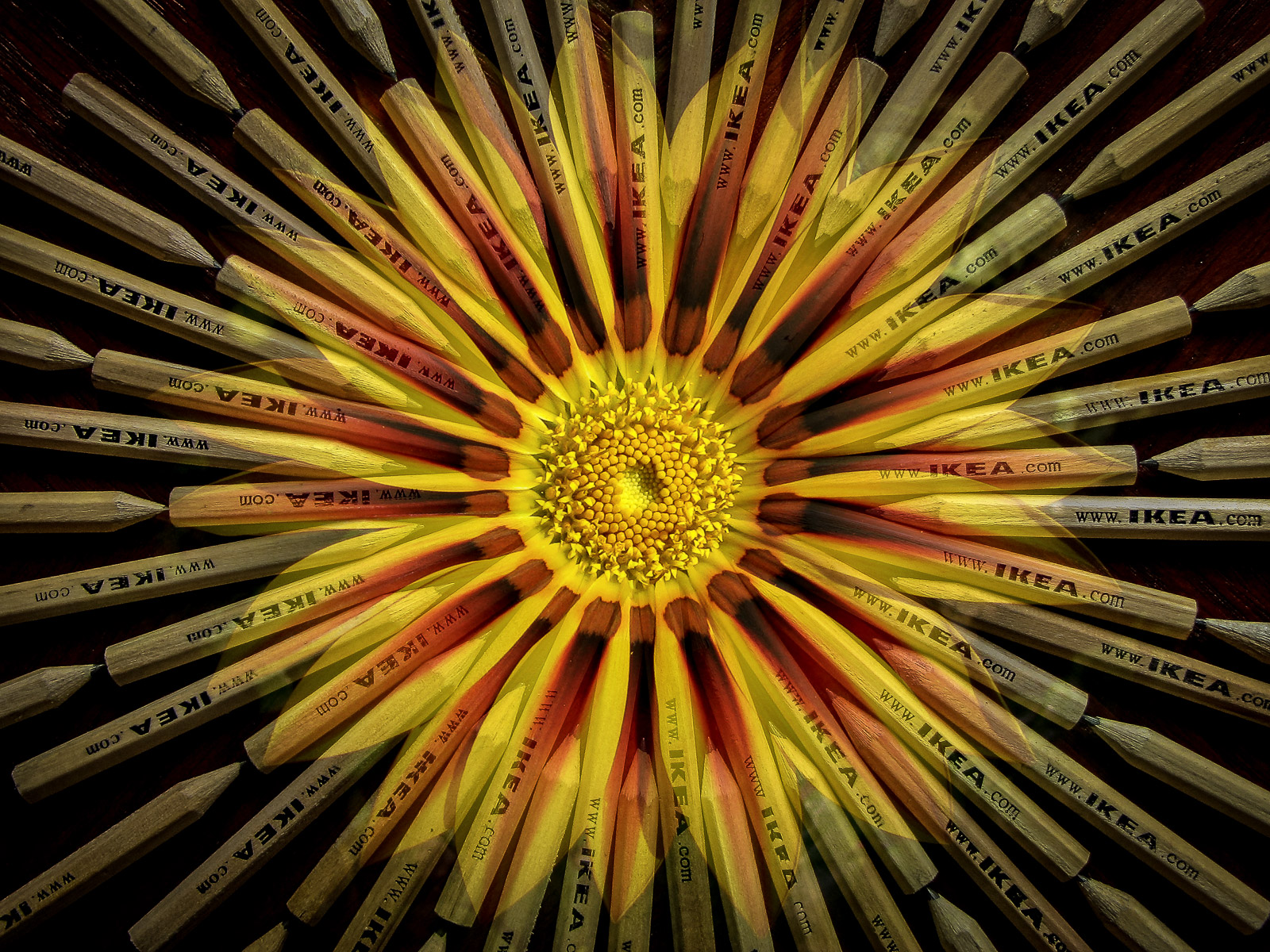 20120831-080-Modifier.jpg