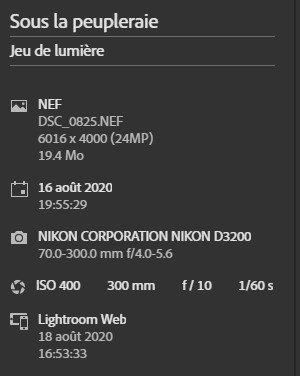 Exif_peupleraie.jpg