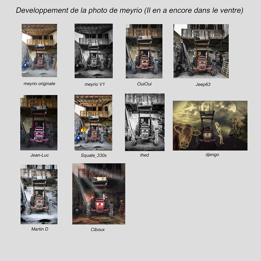 meyrio plaquette.jpg