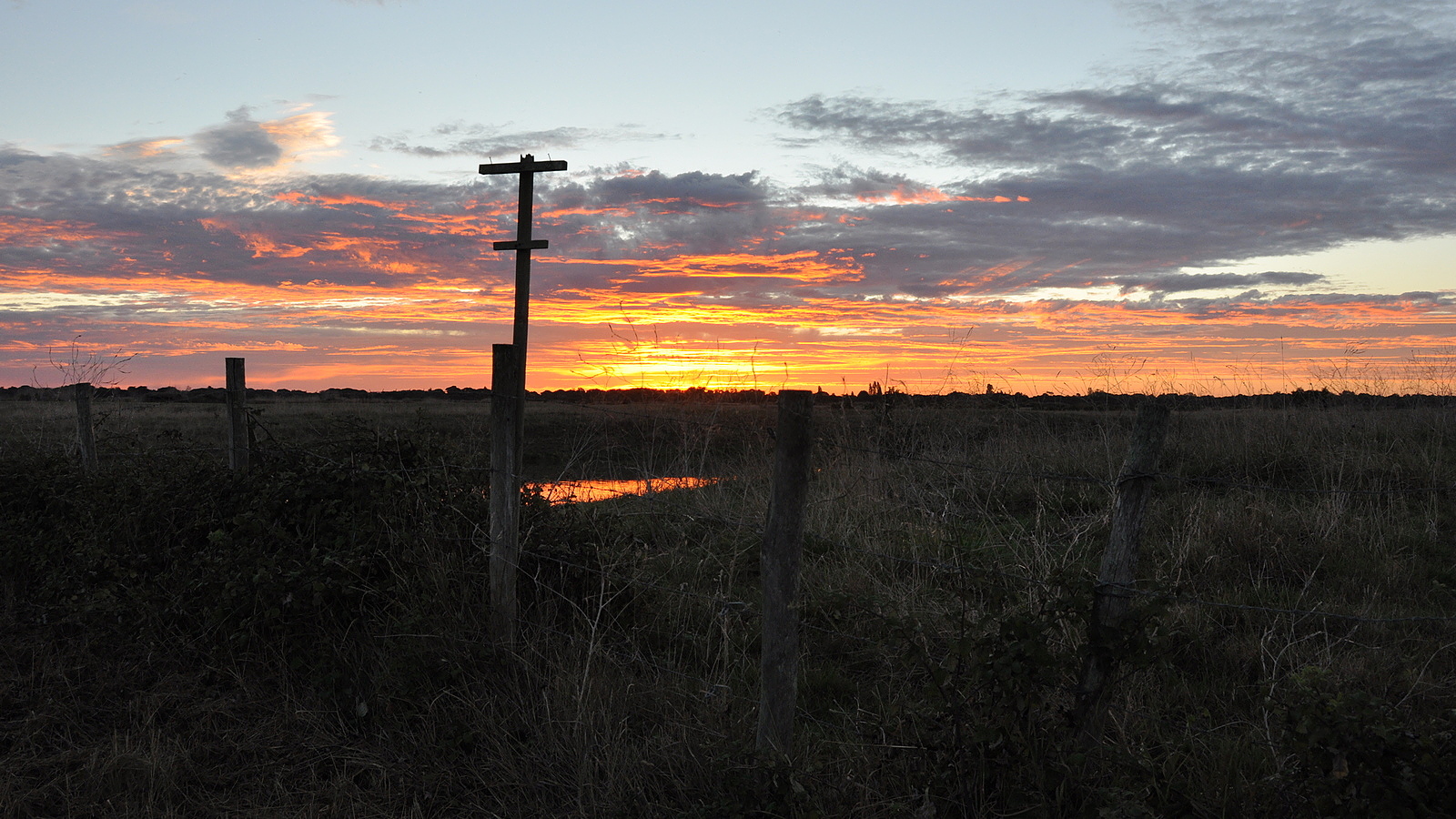 DSC_6172 marais soleil levant 1600.JPG