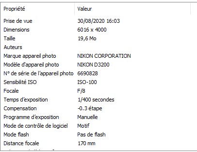 Exif_Sulky.jpg