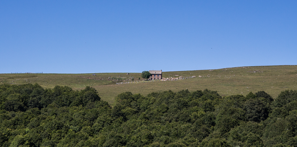 AUBRAC.jpg