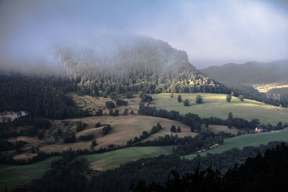 Brume matinale.jpg