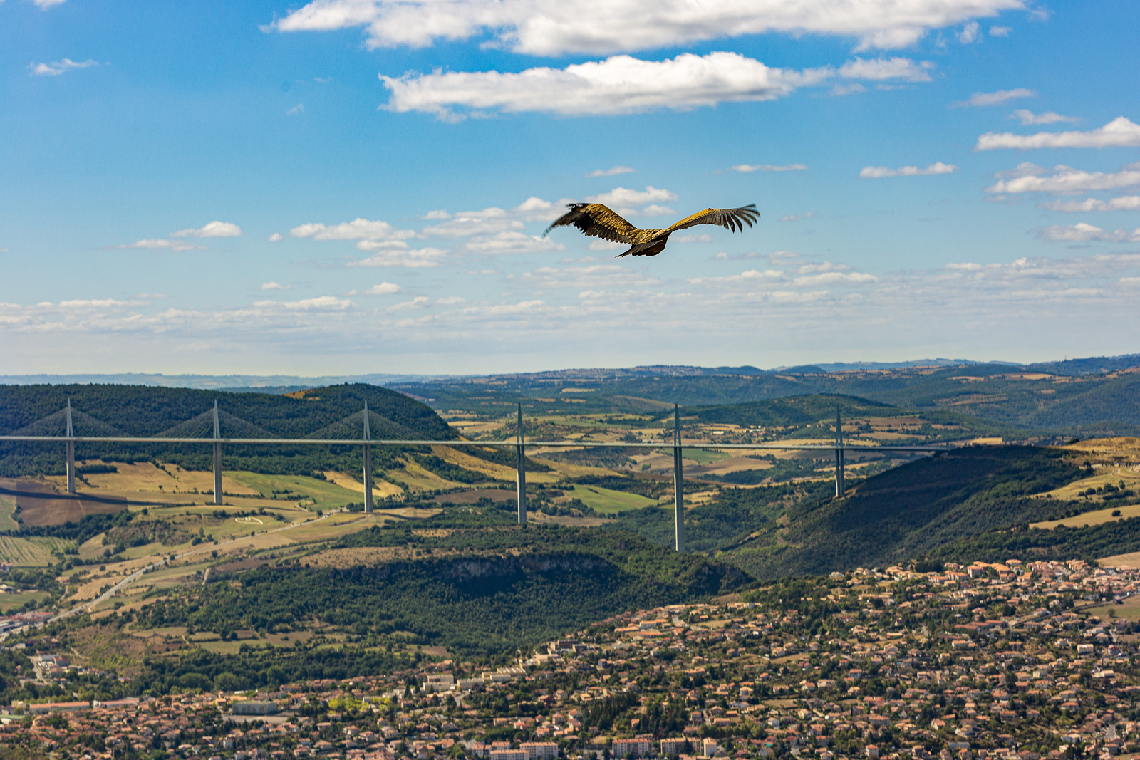 5D3_5384-2.jpg