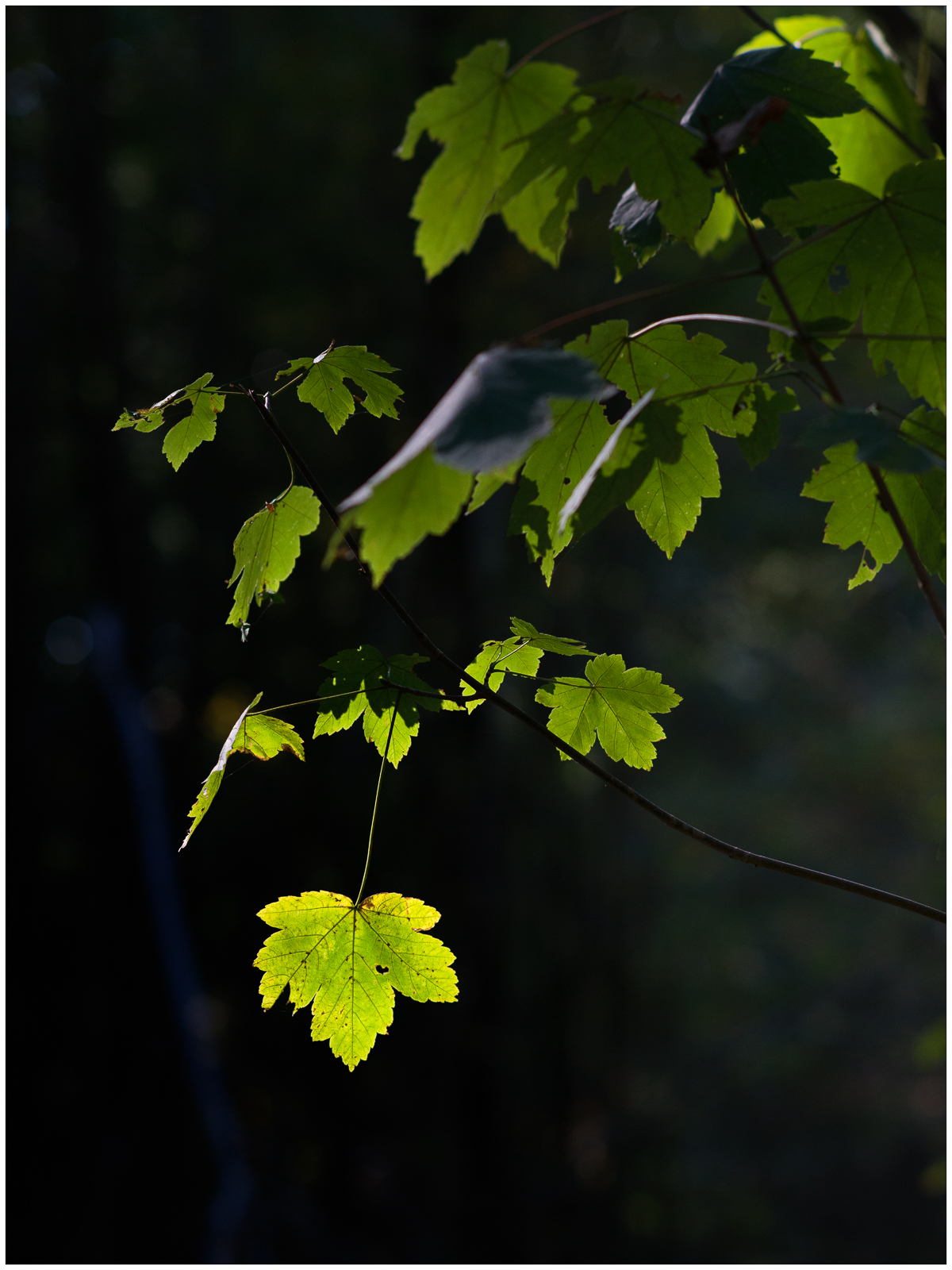 _DSC8339-2-2.jpg