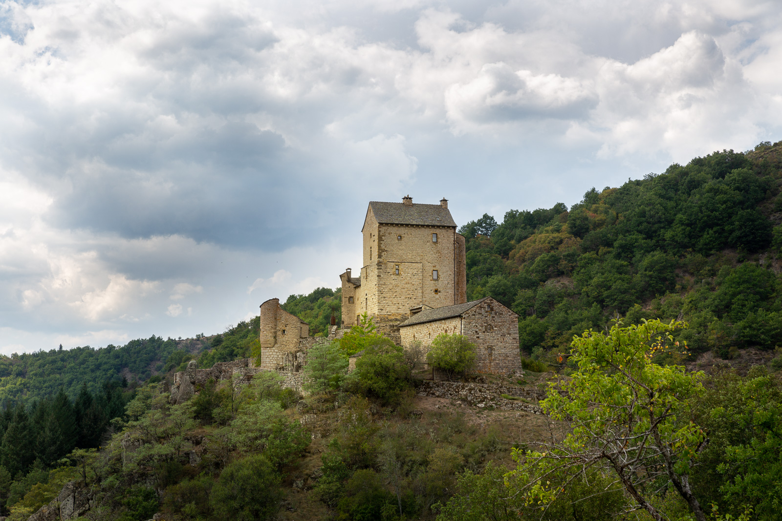 5D3_5544.jpg