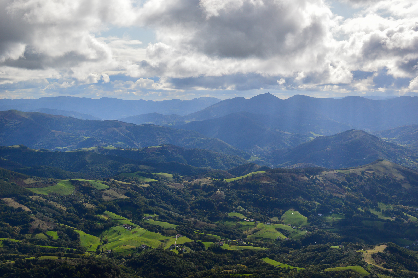 DSC_0033.jpg