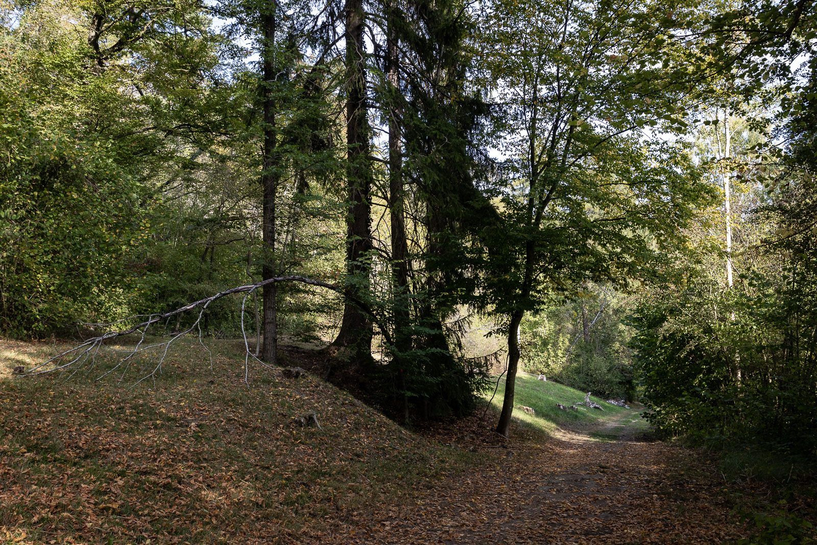 20200918-7298.jpg