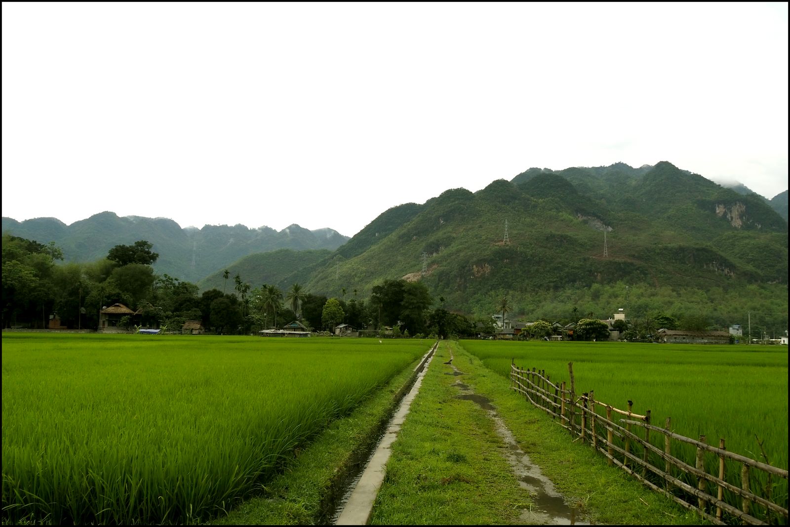 Viet1600.jpg