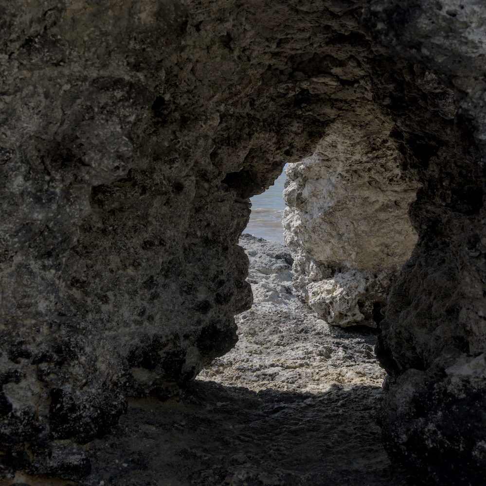DSCF3537.jpg