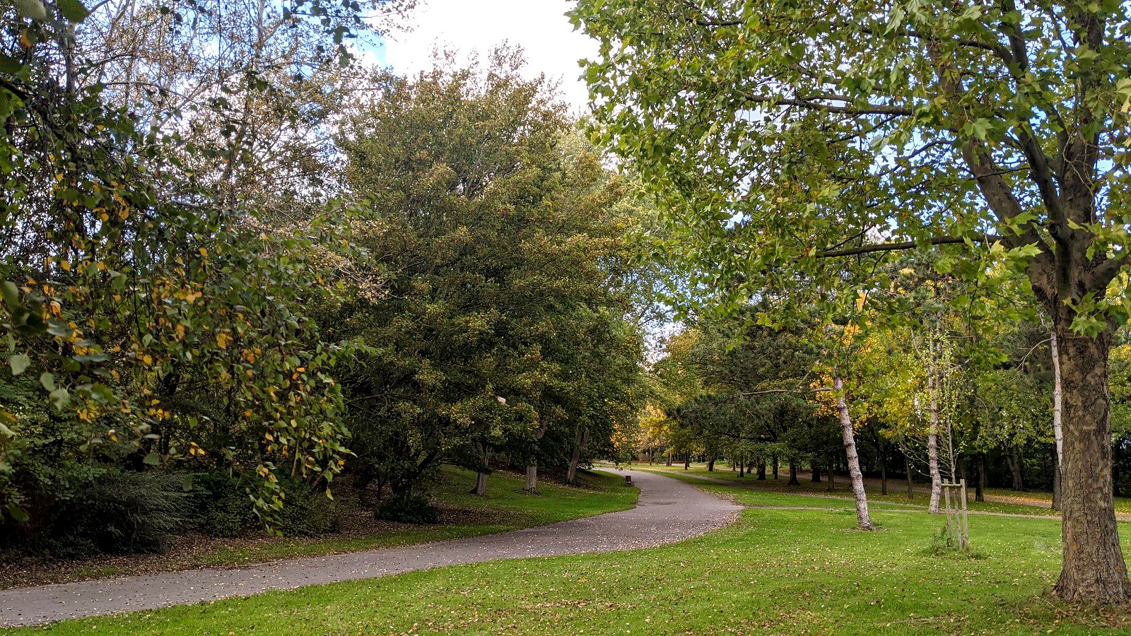 parc1600.jpg