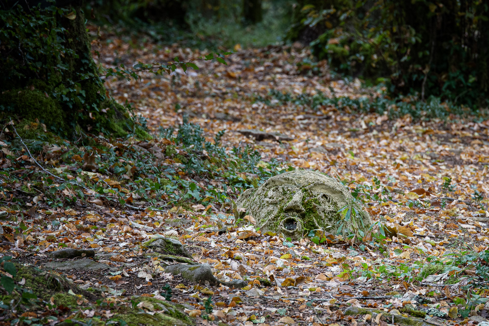 DSC_7636-Modifier.jpg
