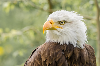 33463565688_c91a558d21_w.jpg
