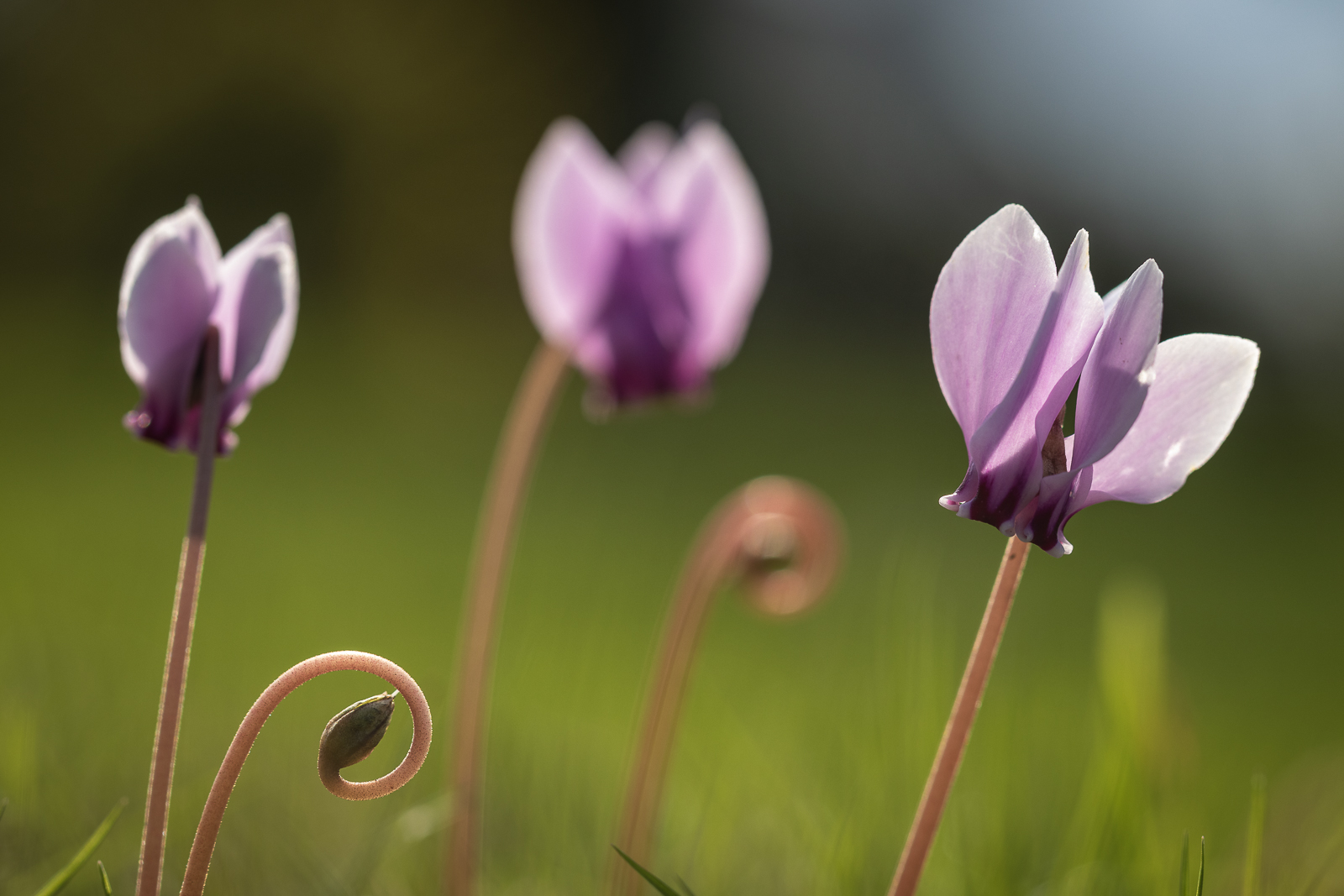 20201014-8049.jpg