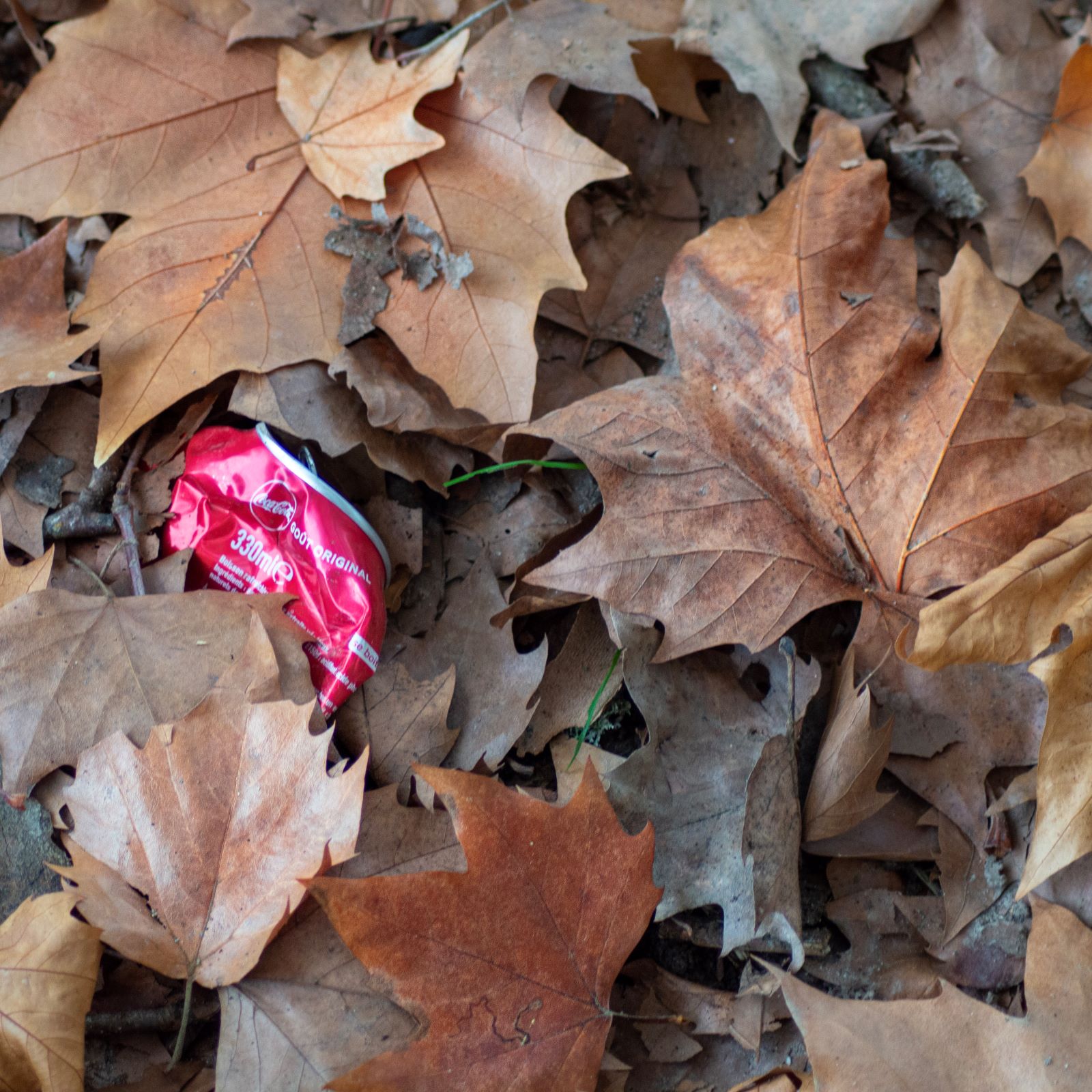 Nature, morte_web.jpg