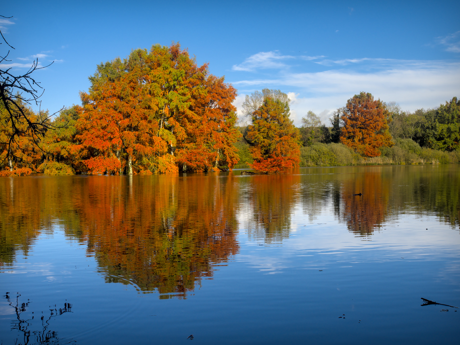 20201026_JCA0021_01.jpg