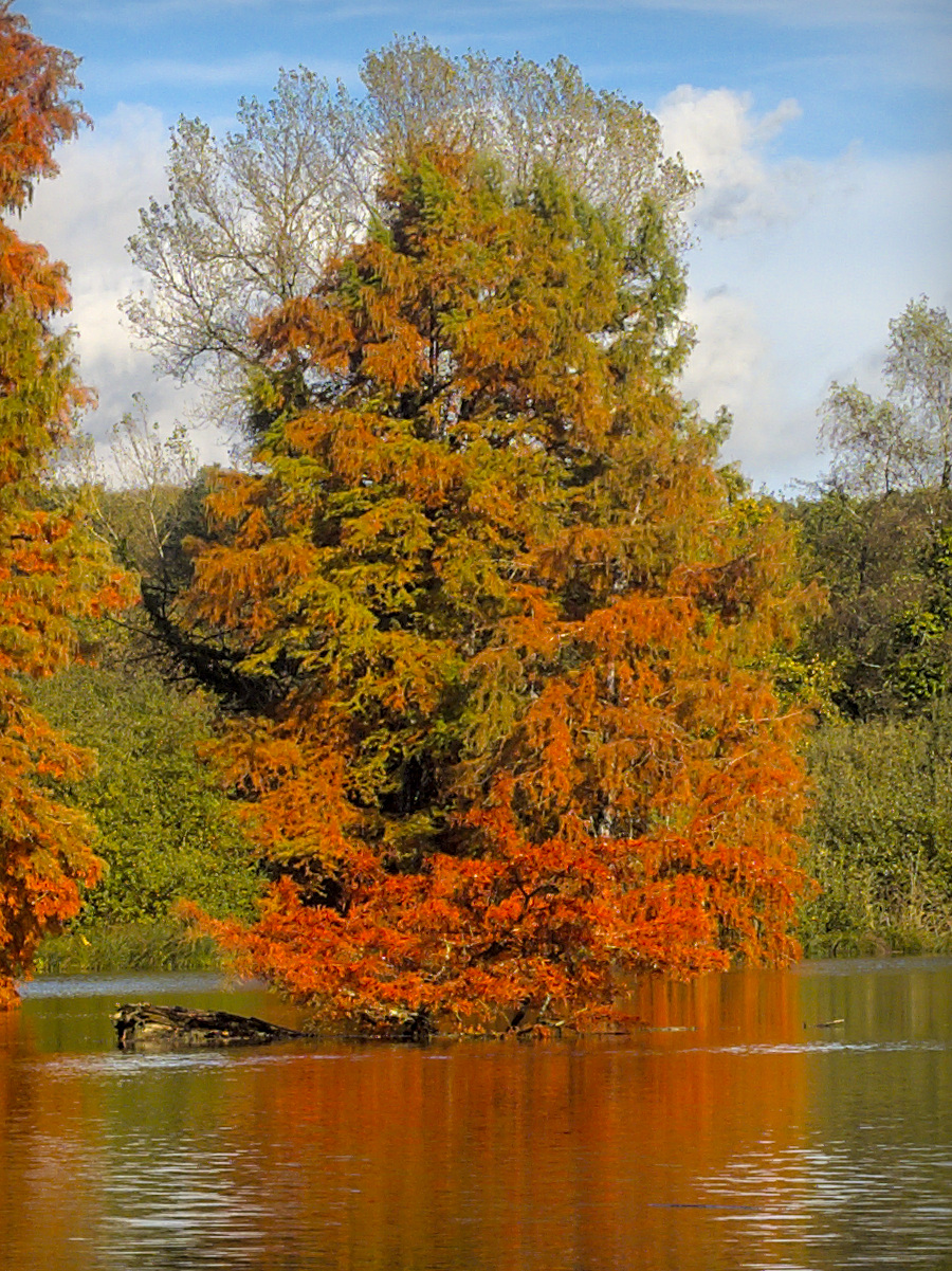 20201026_JCA0021.jpg