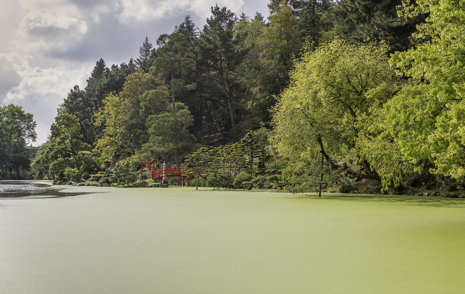 DSC_7730-Panorama-Modifier-Modifier.jpg