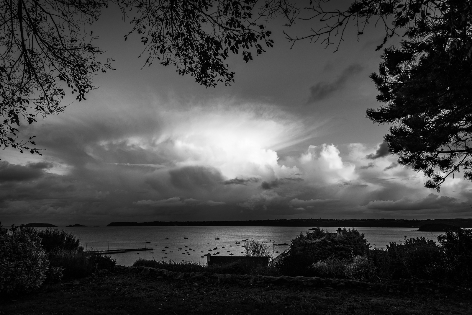 20201013-8021.jpg
