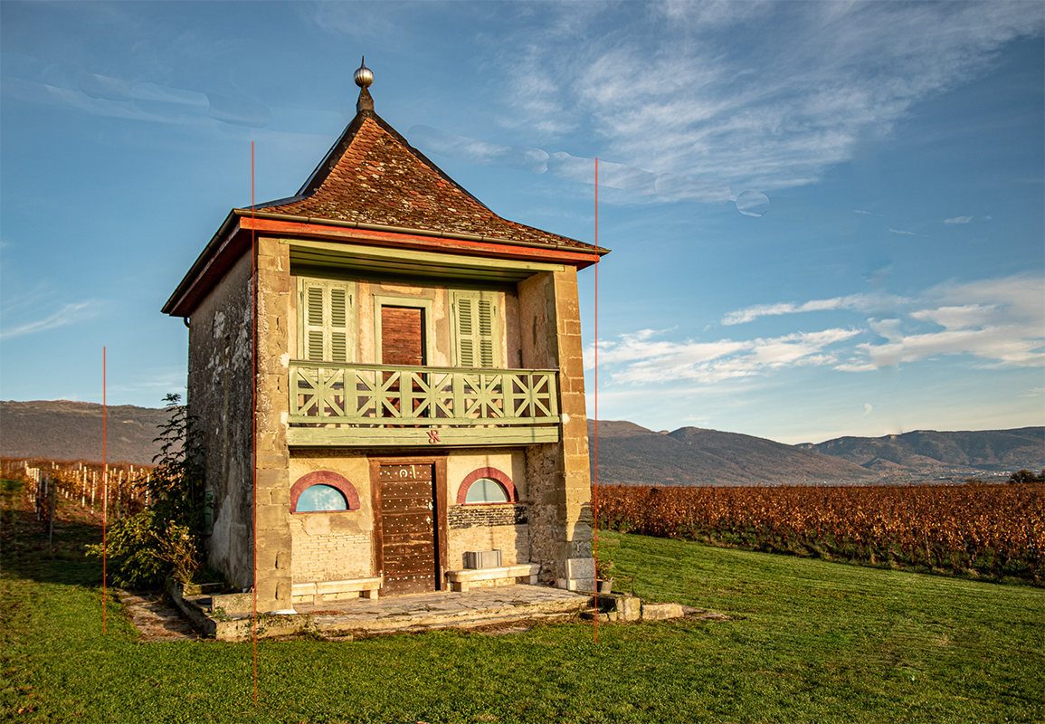 Photo Raymon - Maison dans les vignes - 30 oct 2020.jpg