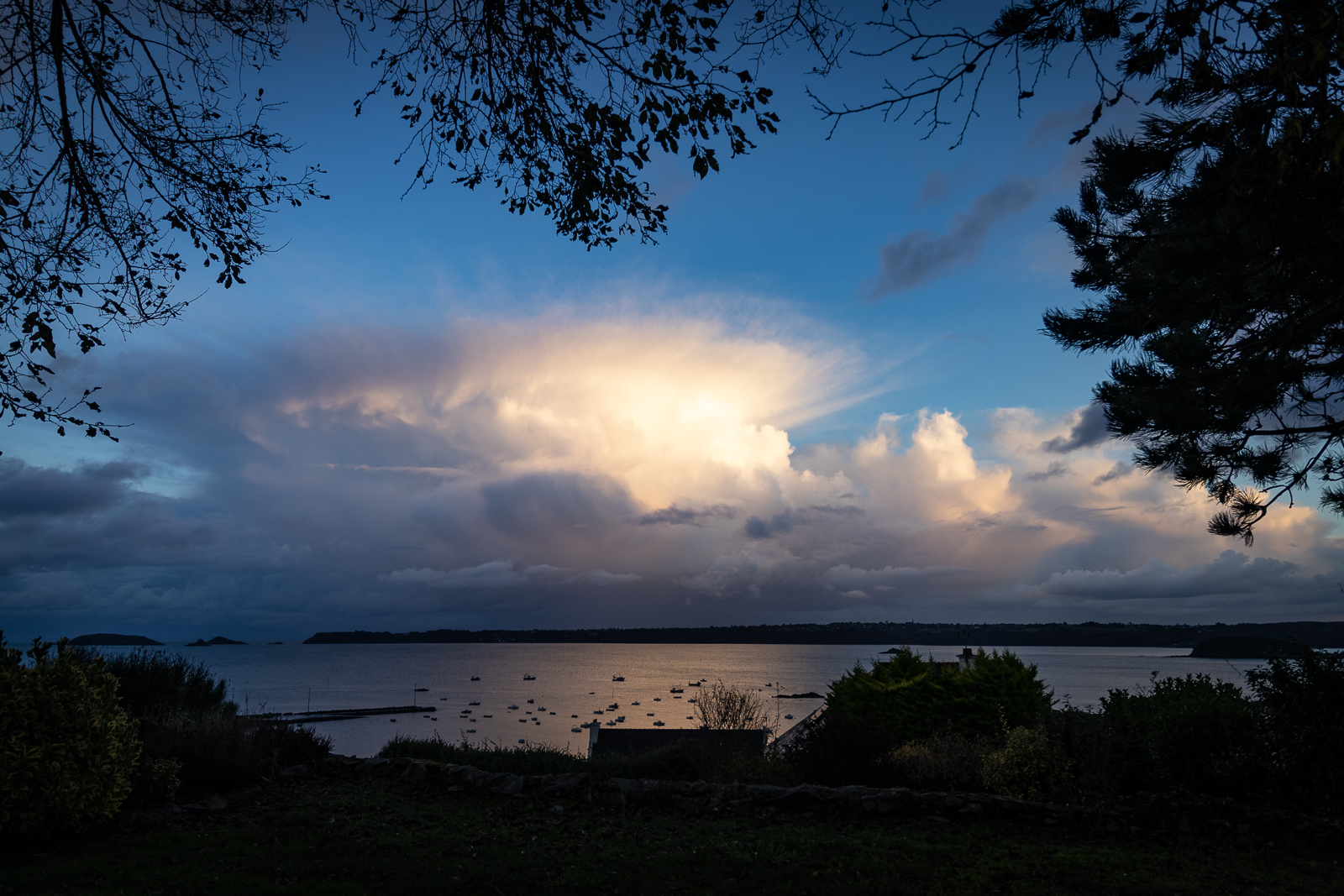 20201013-8021-2.jpg