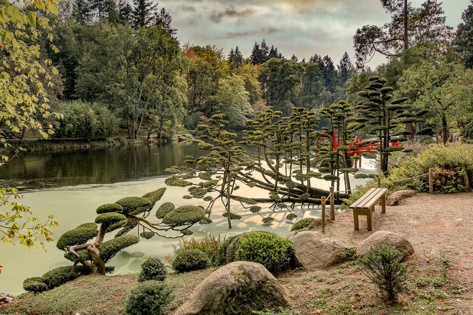 DSC_7755-HDR-Modifier-Modifier.jpg