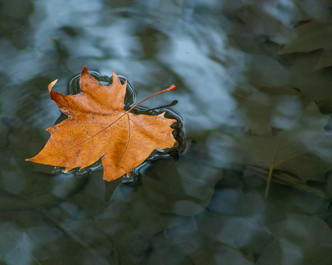 Sogo-25 octobre 2020-1.jpg