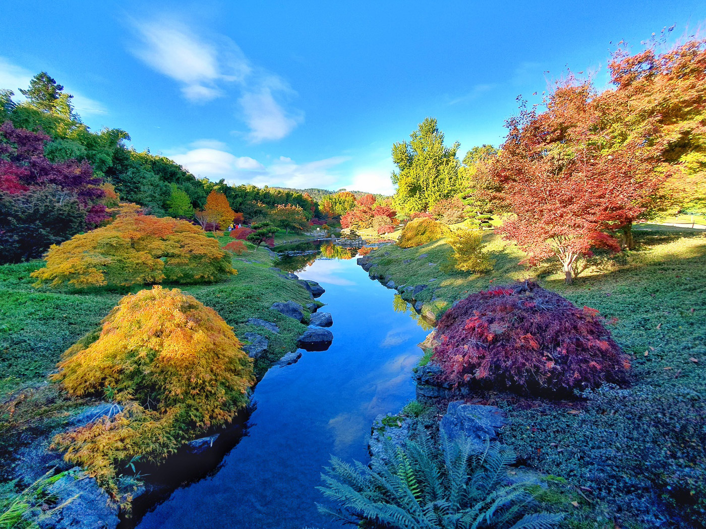 Sogo-27 octobre 2020-1.jpg