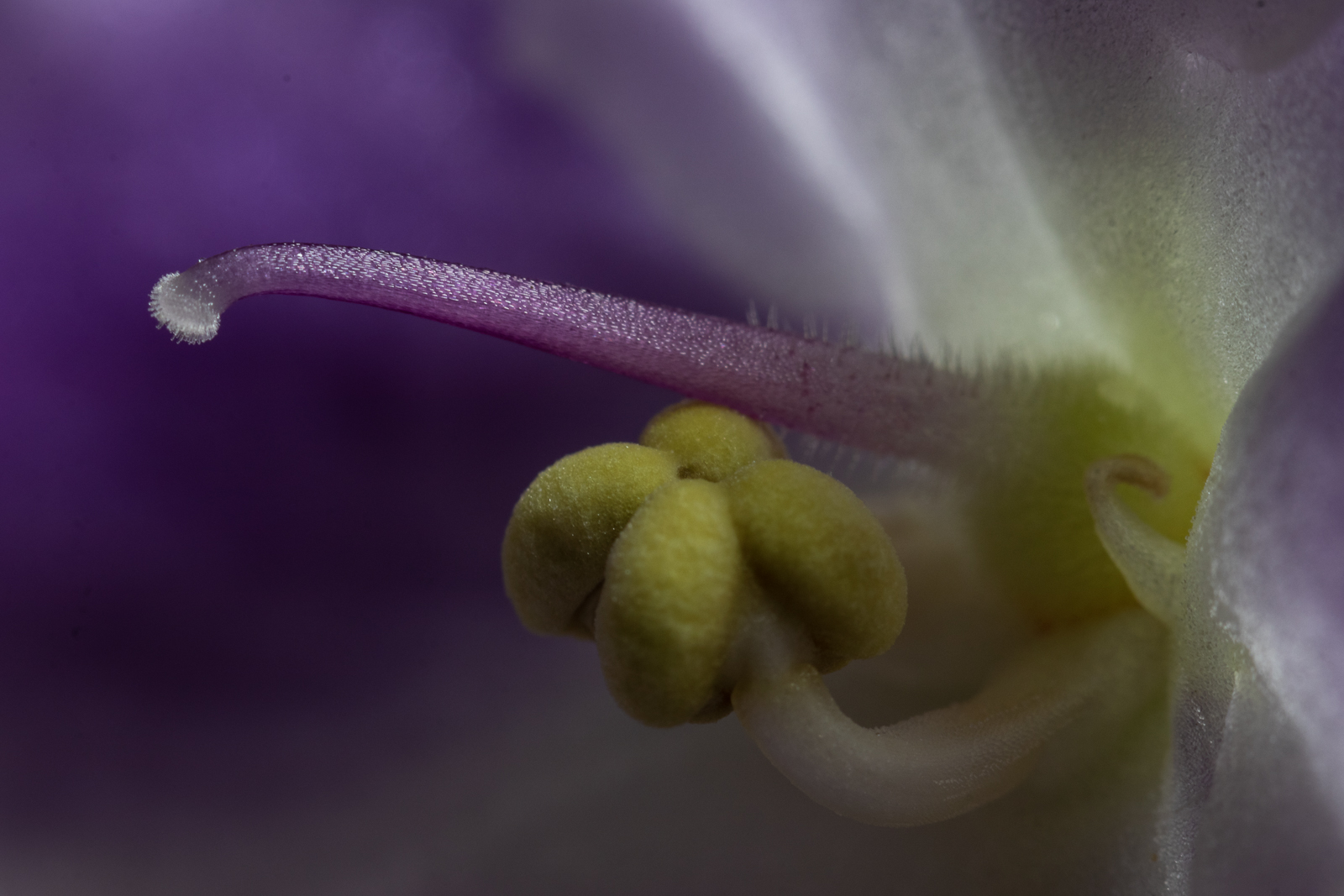 20201102-8279.jpg