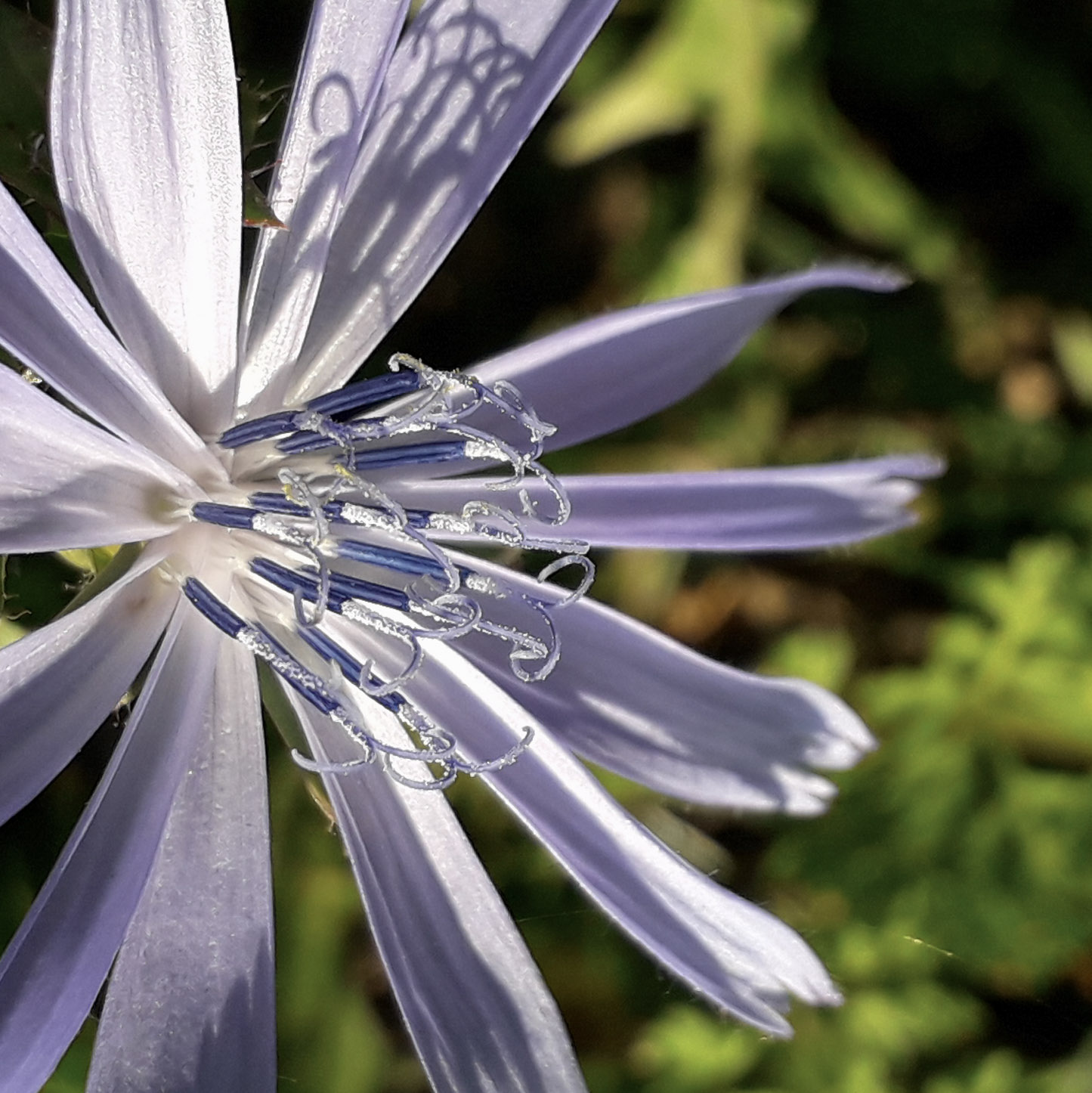20201101_150712.jpg