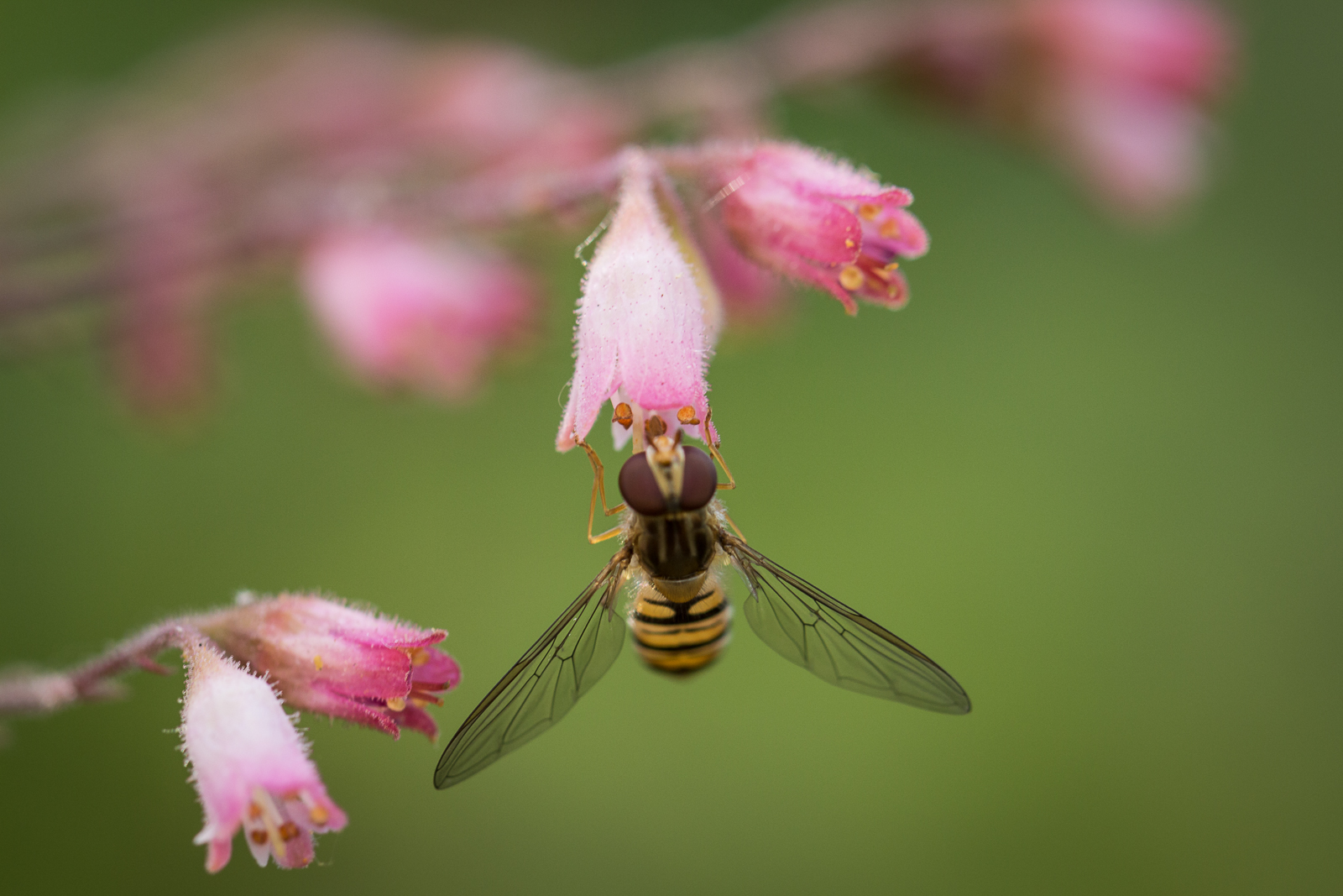 20130720-2179.jpg