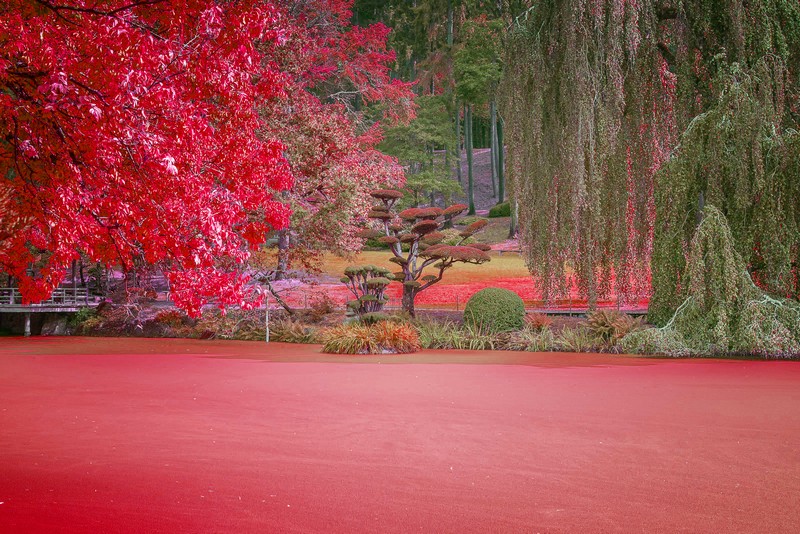 avec du rouge.jpg
