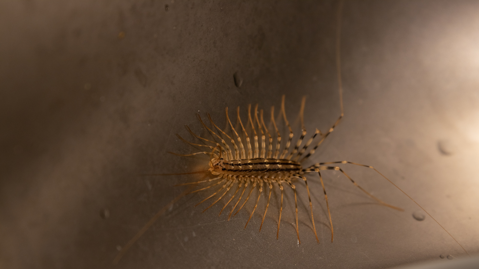 20201007-7615.jpg