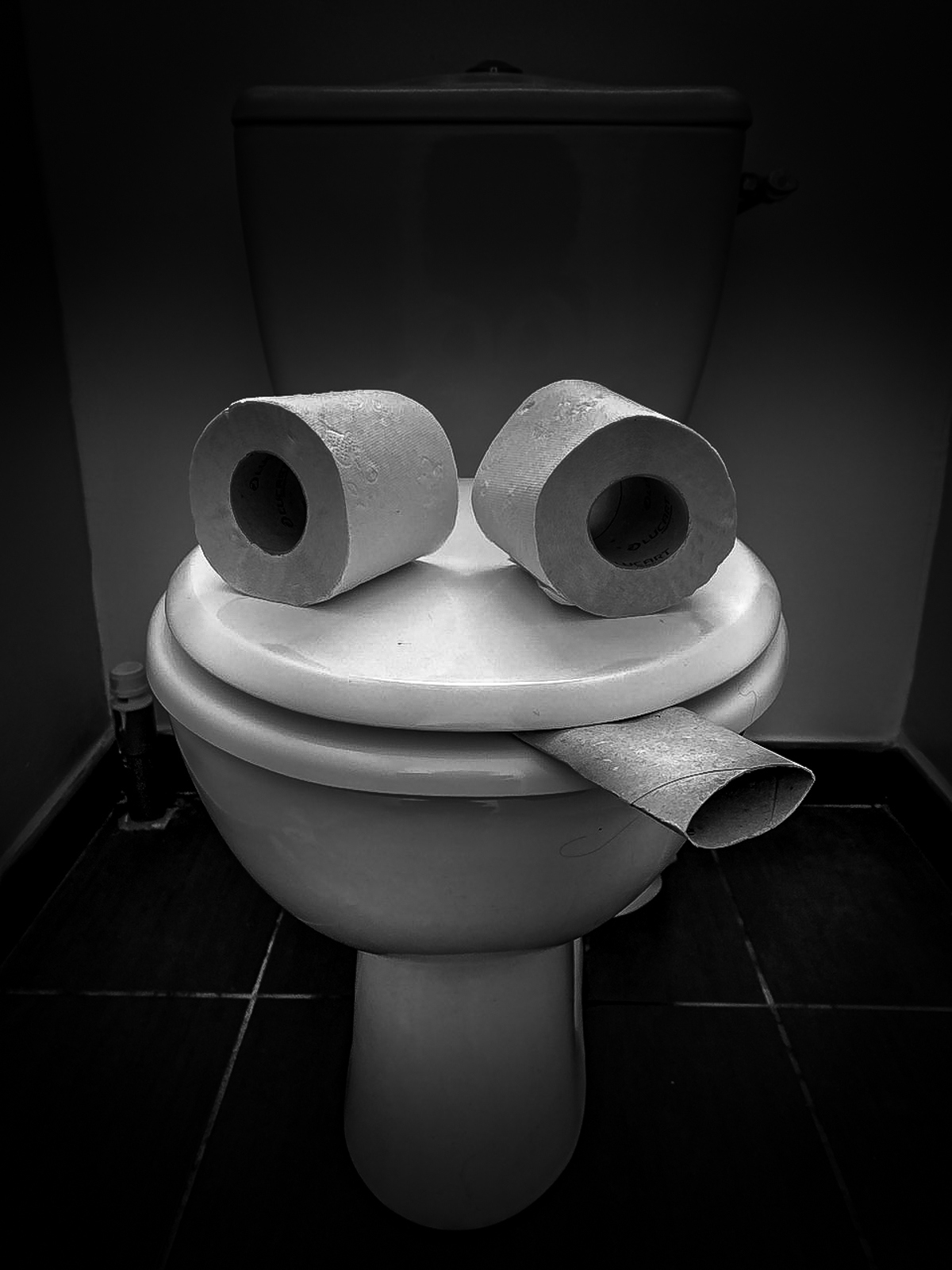 Toilette3.jpg